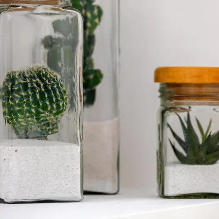 Maison Dorotea 4* 索伦托