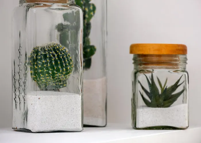 Maison Dorotea 4* סורנטו